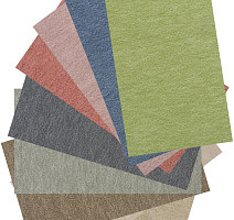 Vorwerk Passion 1002